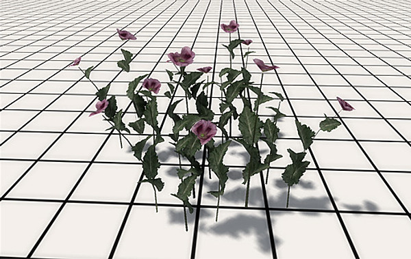 afghan vegetation 24 tree 3d max - 24 Afghan Vegetation Models by pure3dviz